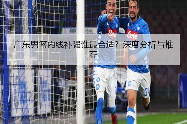 广东男篮内线补强谁最合适？深度分析与推荐
