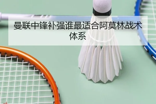曼联中锋补强谁最适合阿莫林战术体系