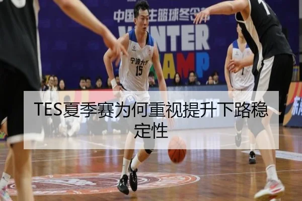 TES夏季赛为何重视提升下路稳定性